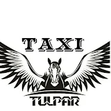 Tulpar taxi client icon