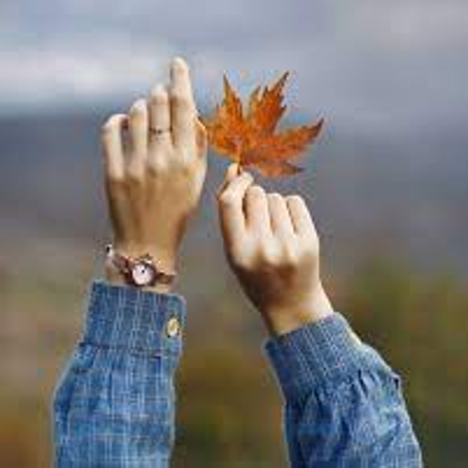 girls hand wallpapers