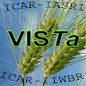 VISTa-Wheat