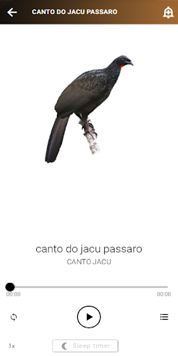 Canto Jacu Screen 3