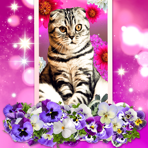 Cute Cats Live Wallpaper logo