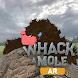 Whack A Mole AR