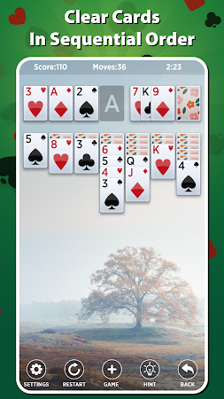Game screenshot Solitaire - Offline Card Games apk download