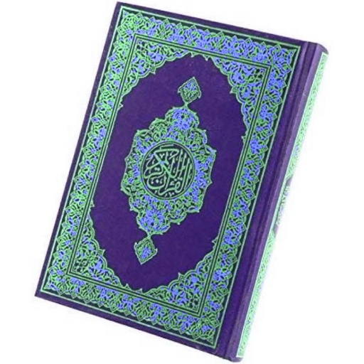 Holy Quran complete voice