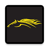 Stallion Transportation Group Mobile App icon