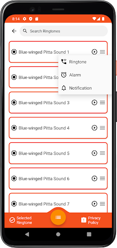 Blue-winged Pitta Sounds