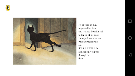 Slinky Malinki Catflaps