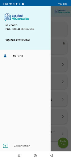 EsSalud Mi Consulta Screen 2