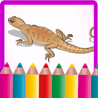 Salamander Coloring Games
