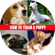 Top 45 Books & Reference Apps Like How to Train a Puppy - Best Alternatives