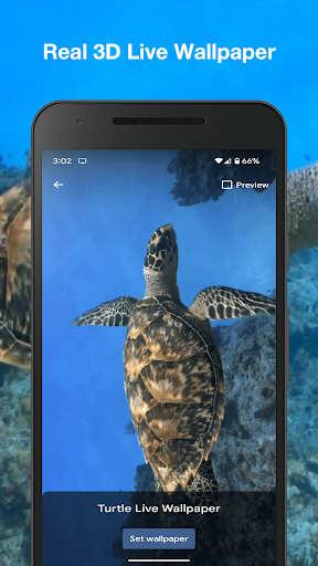 Turtle Live Wallpaper Screen 3