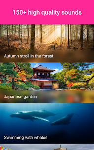 TaoMix 2 – Relax with Nature S  Full Apk Download 6