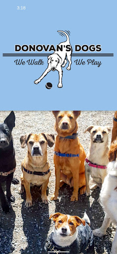 Android application Donovans Dogs screenshort