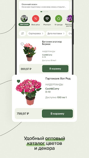 Флора Групп Screen 2