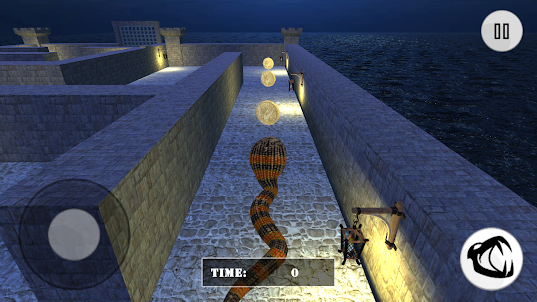 Wild Anaconda Snake Maze Run