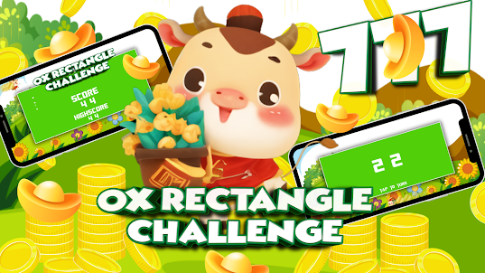 OX Rectangle Challenge