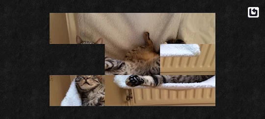 Cazzle - Sleeping Cat Puzzles