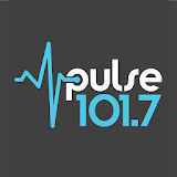 Pulse Music icon