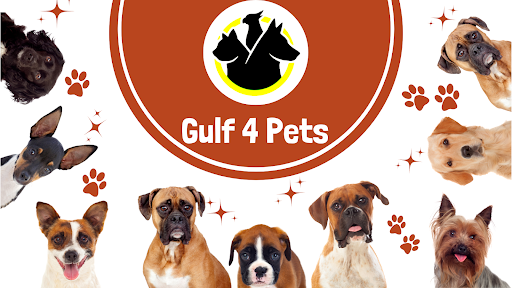 Android application Gulf4Pets screenshort