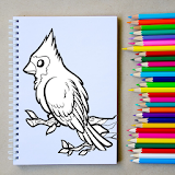 How to Draw an Easy Bird Step by Step icon