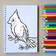 How to Draw an Easy Bird Step by Step - FREE