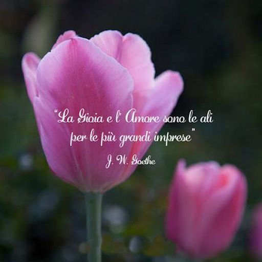 Il comando della gioia logo