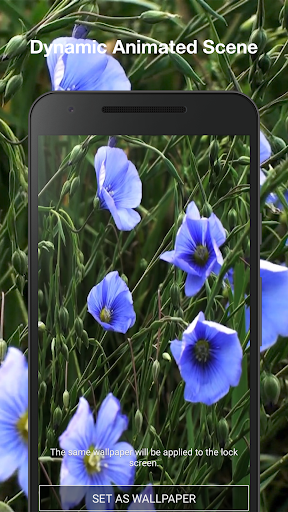 Spring Flowers Live Wallpaper Screen 2