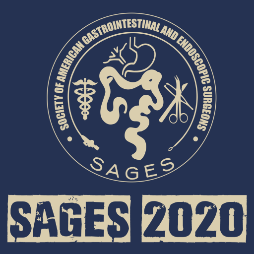 SAGES 2020 Annual Meeting  Icon