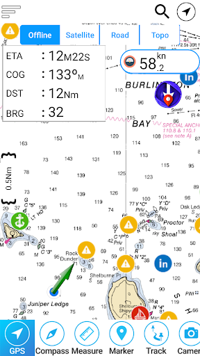 Reelfoot Lake TN Offline Chart