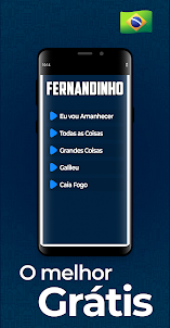 Fernandinho