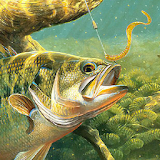 fishing wallpaper free icon