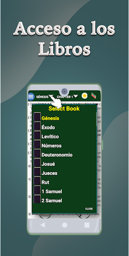 Biblia Del Oso Screen 2