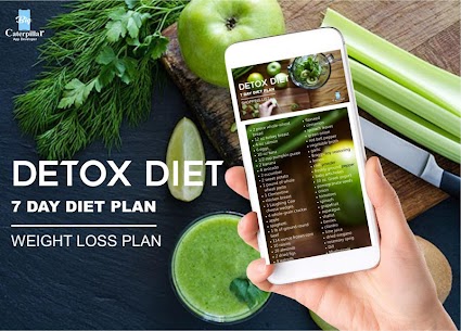 Detox Diet Plan 5