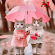 PinkyCat - AI Cat Wallpapers