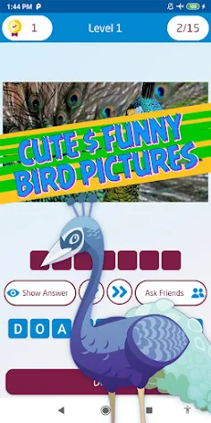 guess the bird - Screenshot 4