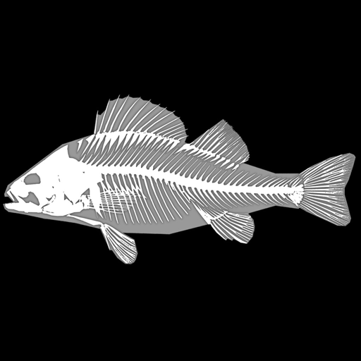 3D Fish Anatomy 2.03c Icon