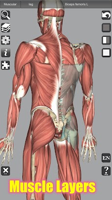 3D Bones and Organs (Anatomy)のおすすめ画像3