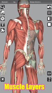 3D Bones and Organs (Anatomy) 5.3 Screenshots 3