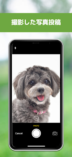 PetSta Screen 3