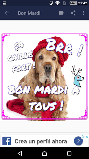 Profite bien de ce Mardi Screen 3