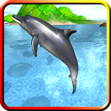 Dolphin Swim & Play Game icon