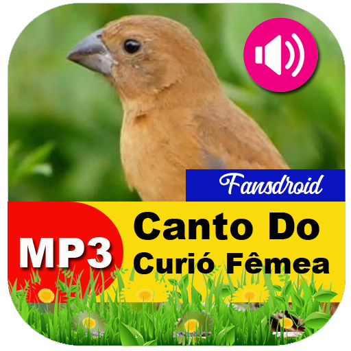 Canto Do Curió Fêmea logo