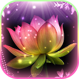 Lotus Flower Theme Live Wallpaper App icon