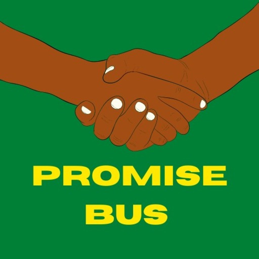 Promise BMS logo