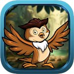 Elated Owl Escape