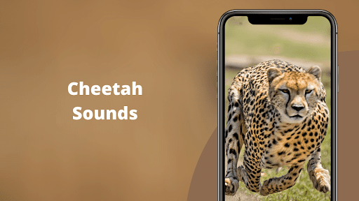 Android application Cheetah Sounds screenshort