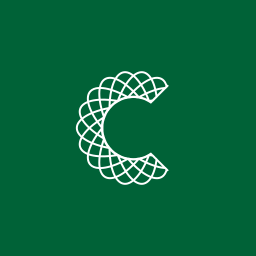 Stonehage Fleming Connect logo