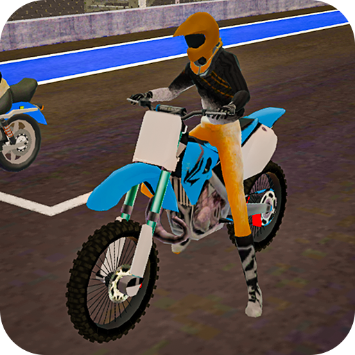 Racing Fever: Real Bike Racing