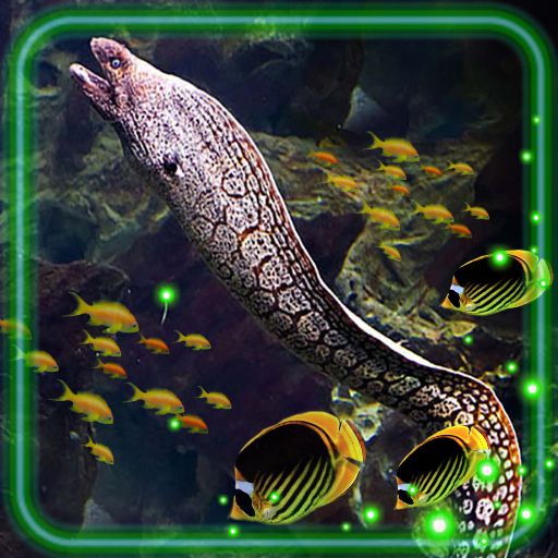 Sea Underwater Wallpaper Windows에서 다운로드