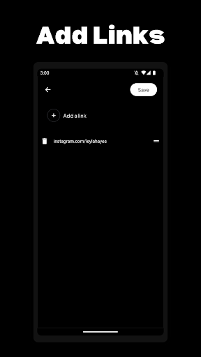 Omni Screen 3